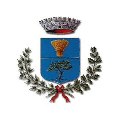 Convocazione Commissariale Consiglio Comunale per l'11/2/2022 - OdG