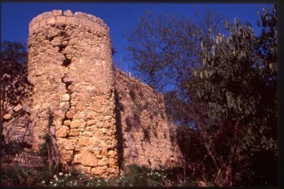 torre-nissoria